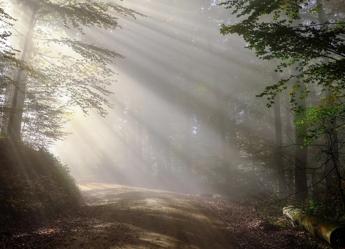 Why Are Fairies Dangerous? The Rules of Fairy Etiquette in British Folklore